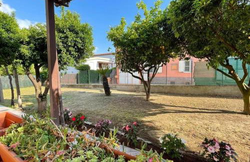 Il Glicine di Luna - Foto 8