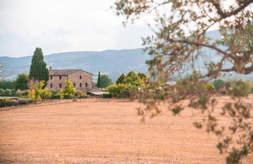 San Carlo a La Molinella - Photo 3