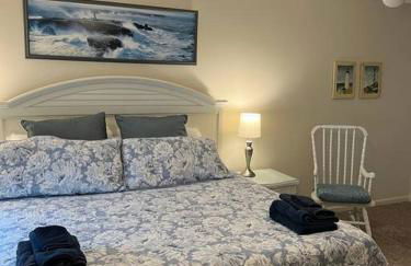 Absolute Beach 4bedrooms-3bath steps to beach - Foto 23