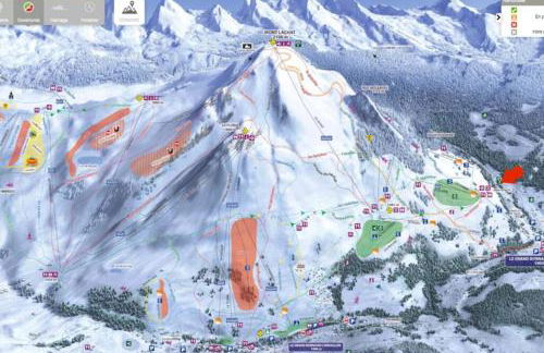 CHALET LYOBA - Photo 28