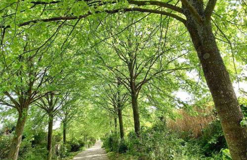 Le Domaine Réservé , parking et écrin de verdure - Foto 28