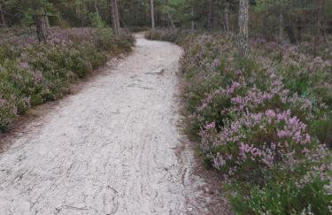 Apartament Pod Orzechem - Foto 18