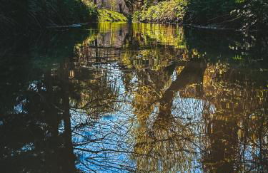 Amber Ferienhain - Ferienhaus 'Magnolie' mit verwunschenem Garten & privater Sauna - Foto 18
