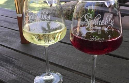 Insta Worthy Oasis - Foto 28