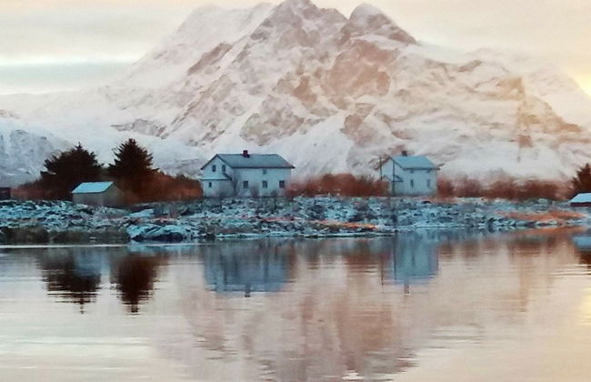 5 Person Holiday Home in Vandve - Foto 9