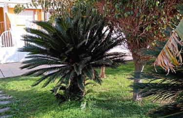 El paraíso del sol - Foto 17