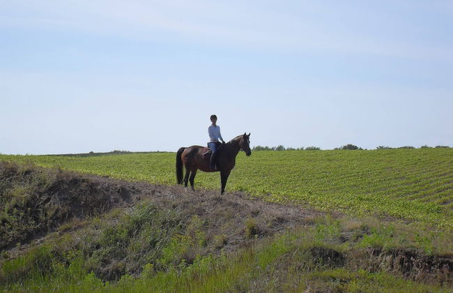 Escape Near Baltic Coast - Foto 32