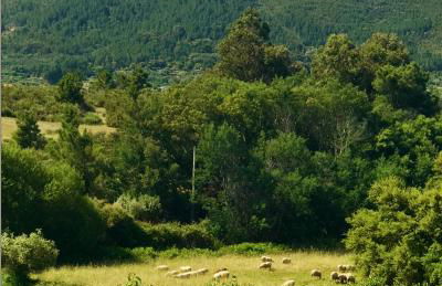 Quinta da Porta - Solar de Vale de Prazeres - Foto 3