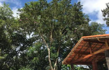 Sítio- perto do centro - Foto 18