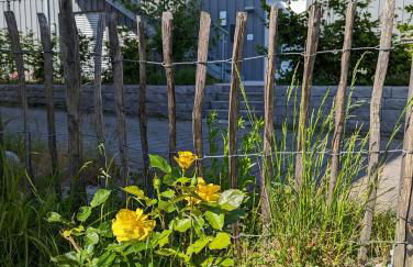 Haus zur Aach Tinyhouse - Foto 22