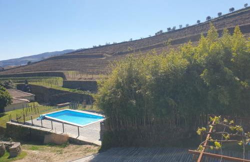 Quinta de Sobre a Fonte Charming Apartments - traditional winery - Foto 11