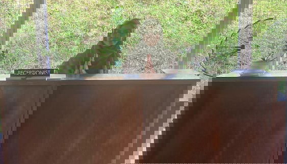 Asram Edupark - Foto 2, Recepción