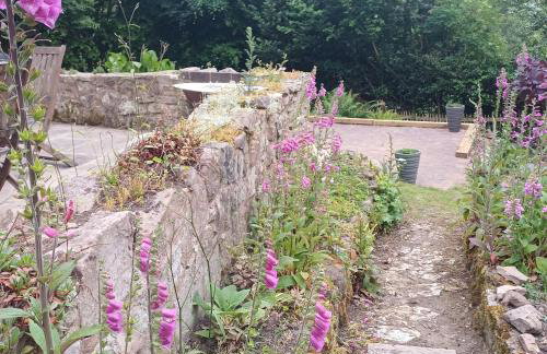 Offa's Hideaway - Wye Valley - Foto 16