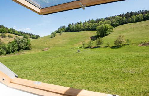 Ferienhaus Kappel mit Pool - Foto 26