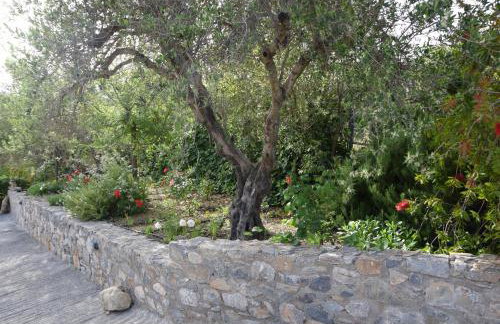 Villa Melissa - Foto 37