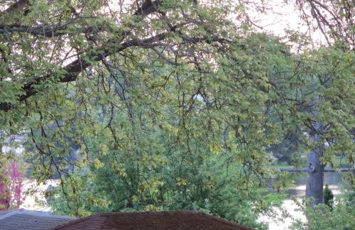 Fischerhaus am See - Photo 19