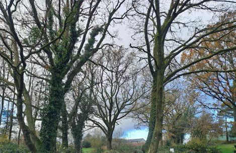 Celtic Minor Cottage - Foto 17