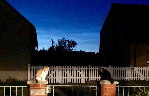 Urlaub auf dem Land - Foto 18