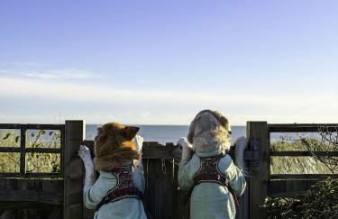 Xanadune Beach House by Bloom Stays - Foto 11