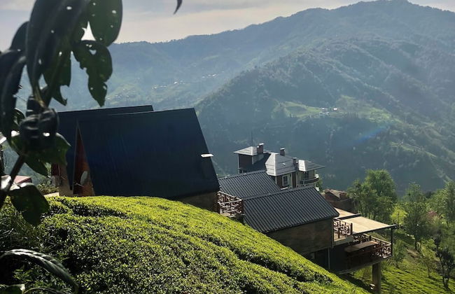 CELAZENİ BUNGALOV - Foto 32