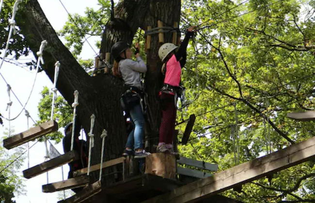 Appart'hôtel Bellamy Chamonix - Foto 58