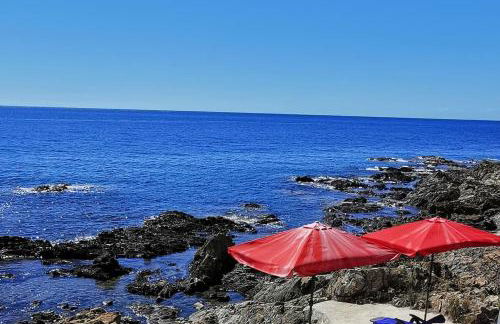 Pieds dans l'eau - La Villa Crique aux tortues - Foto 49