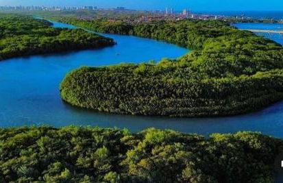 Casa astro rei - Foto 1