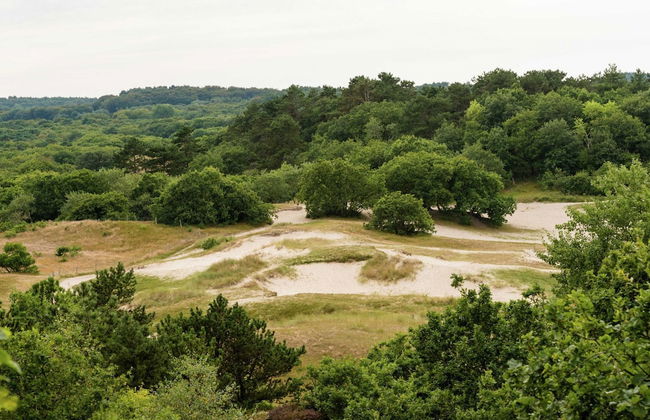 Holiday Home in Bergen Near Bergerbos Forest - Foto 15