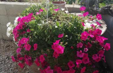 Apartment Nada - Foto 16