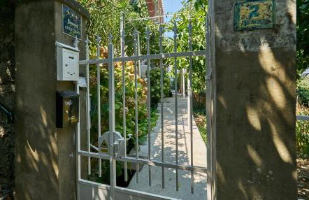 Aspidistra Shadow - Foto 24