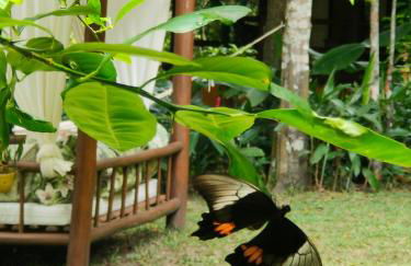 Pousada Boutique Sitio das Jaqueiras-Vista Rio Mar - Foto 40