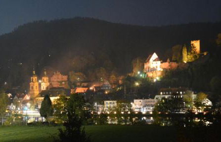 Panorama-Blick Miltenberg, 3 Pers., zentr., am Main, Terrasse, Bootverleih, P - Foto 24