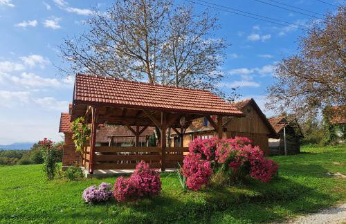 Kokotova hiža - Photo 42