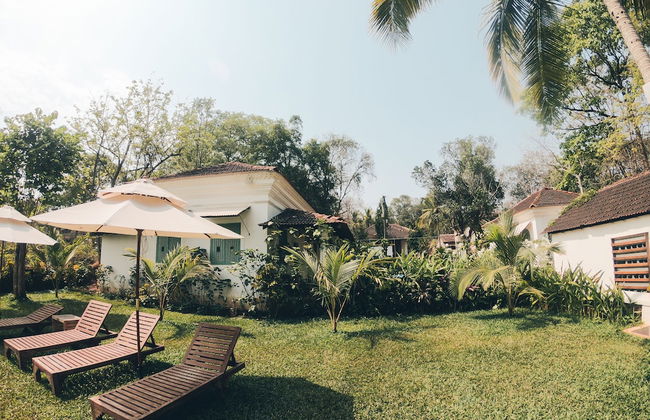 The Project Cafe Goa - Photo 13