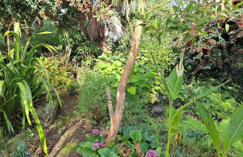 Granite stone house Guimaec - Foto 22