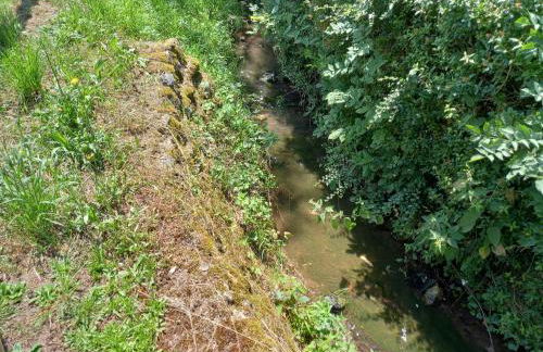 Ferienwohnung Am Laufer Bach - Foto 25