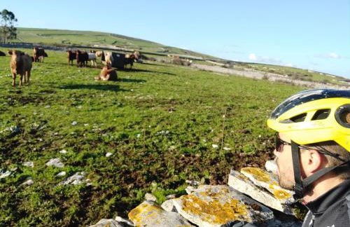 Ti Noémia - casa de vila - Foto 21