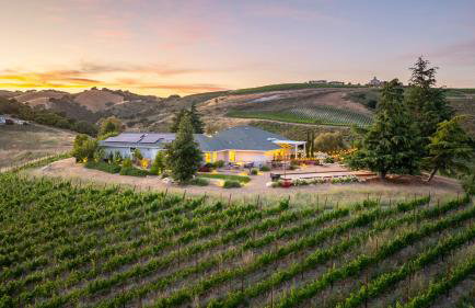 La Maison du Vin - Photo 16