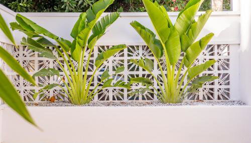 Refugios Parajuru - Casa Pequena - Foto 2, Garden