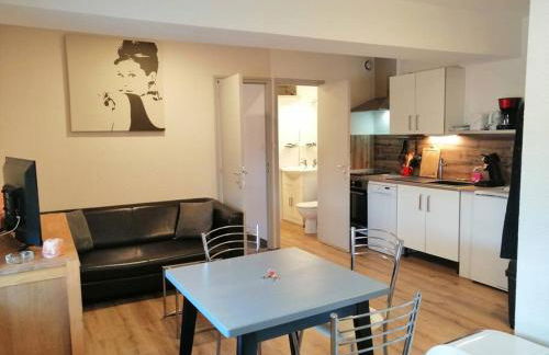 Joyeuse, appartement de 27m2 - Foto 1