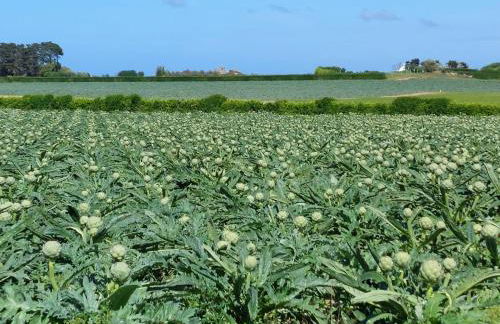 Holiday home 10 pers , panoramic sea view, Cléder - Foto 19