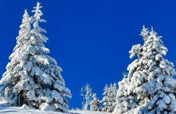 Holiday Apartment - Foto 14