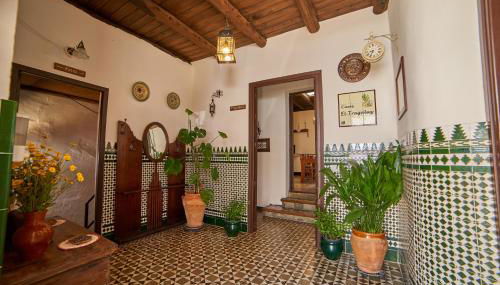 Tragaluz II - Foto 2