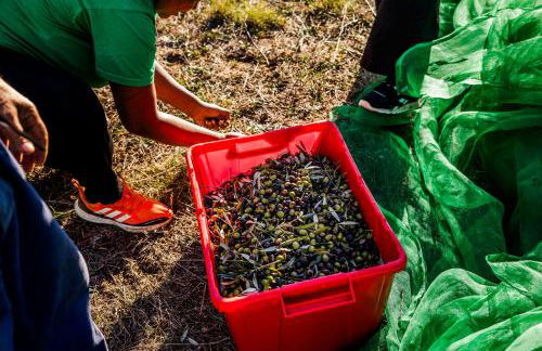 Casa de diseño con gran terraza - Foto 62