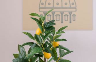 Delizioso Appartamento in zona Vaticano - Foto 24