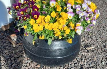 Bramble Cottage - Foto 3