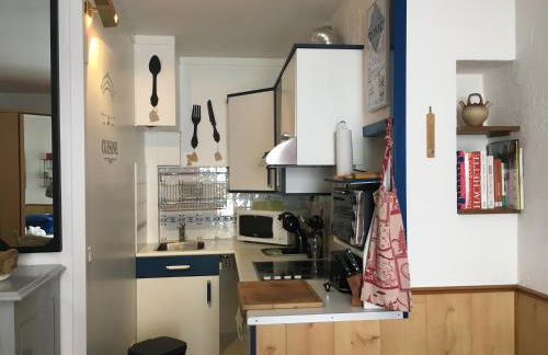 STUDIO SUR PISTES direct face rassemblement écoles de skis classé 3 Etoiles 4 Couchages COSY - Photo 11