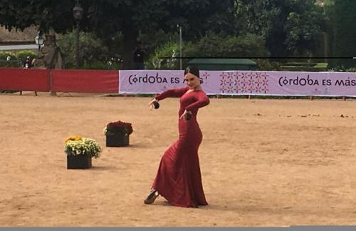 Geysotur Puerta de la Axerquía Parking Gratis - Foto 13