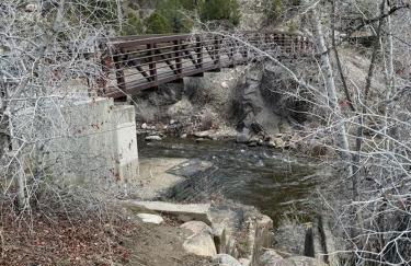 Dogs OK! Prime Home Base minutes to Downtown and Trails - Foto 48