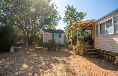 Salamandre - Foto 14